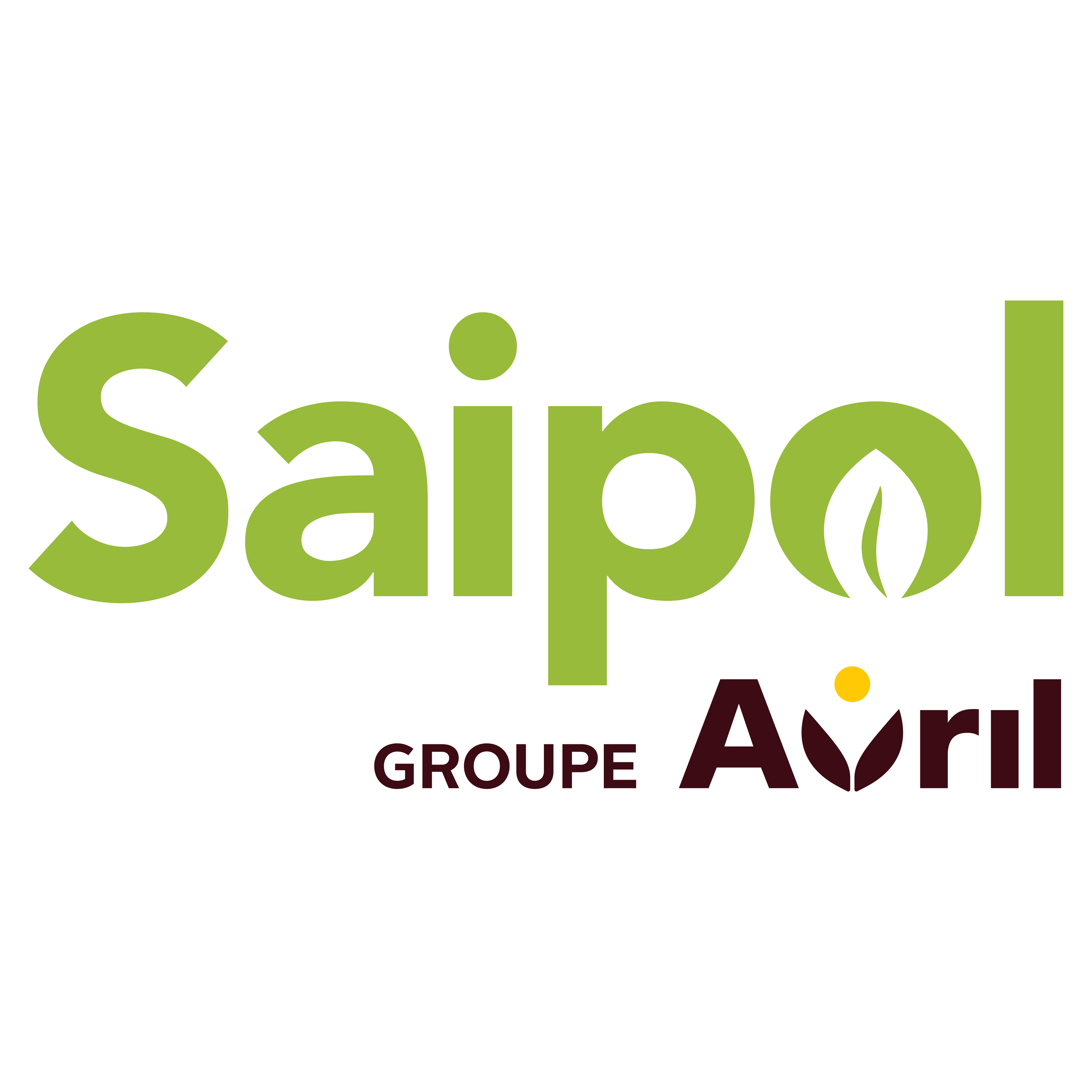 logo_saipol2